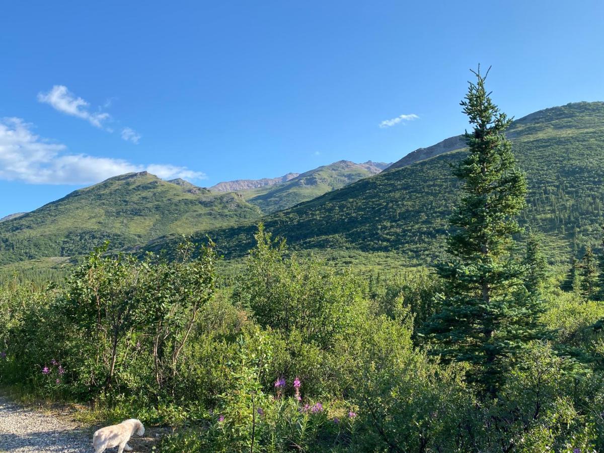 هيلي Denali Rv Park & Motel المظهر الخارجي الصورة