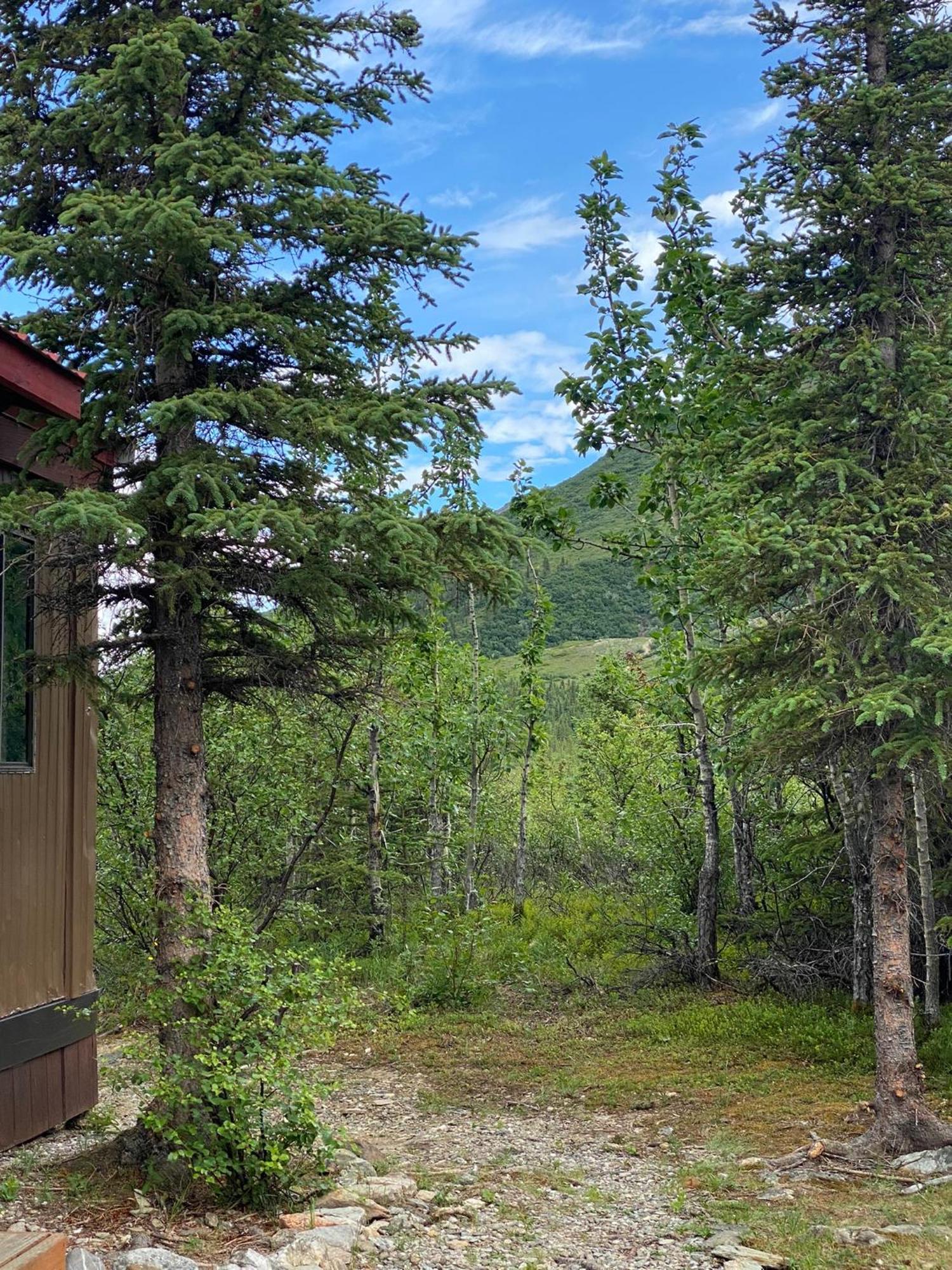 هيلي Denali Rv Park & Motel المظهر الخارجي الصورة